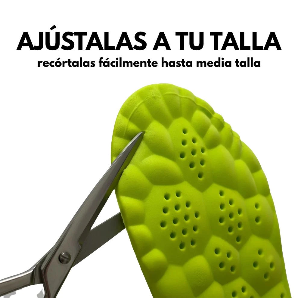 Plantillas Paddex Pro